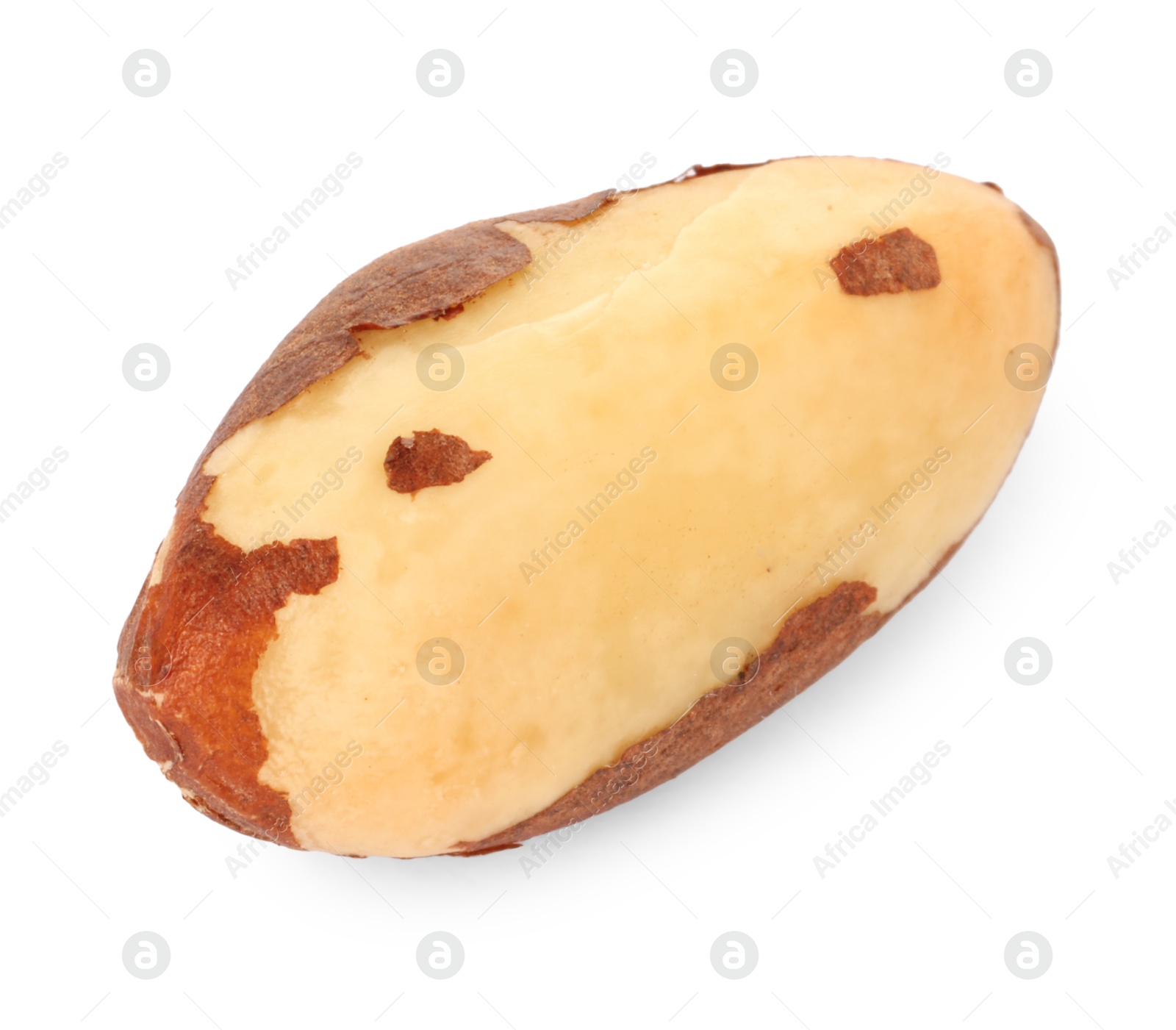 Photo of One tasty Brazil nut isolated on white