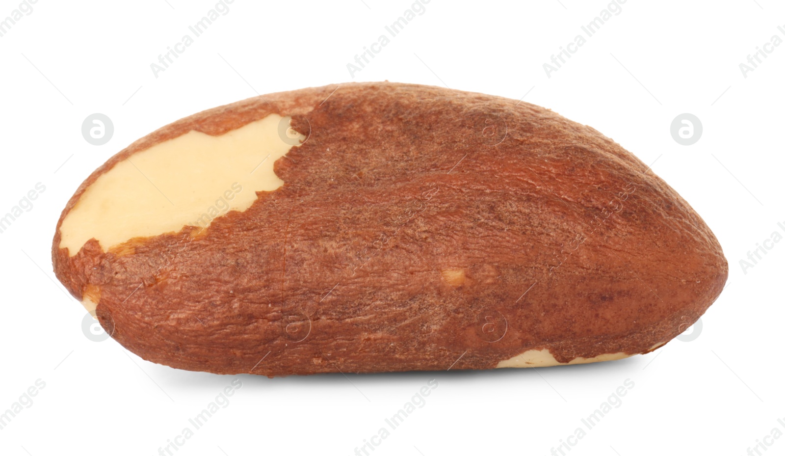 Photo of One tasty Brazil nut isolated on white