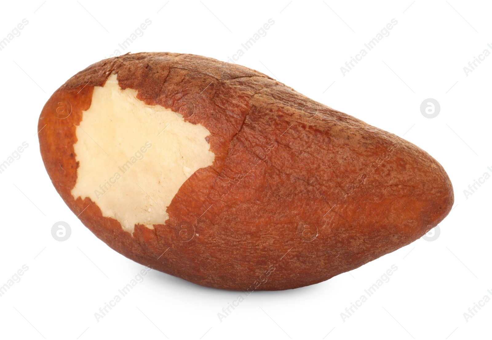 Photo of One tasty Brazil nut isolated on white