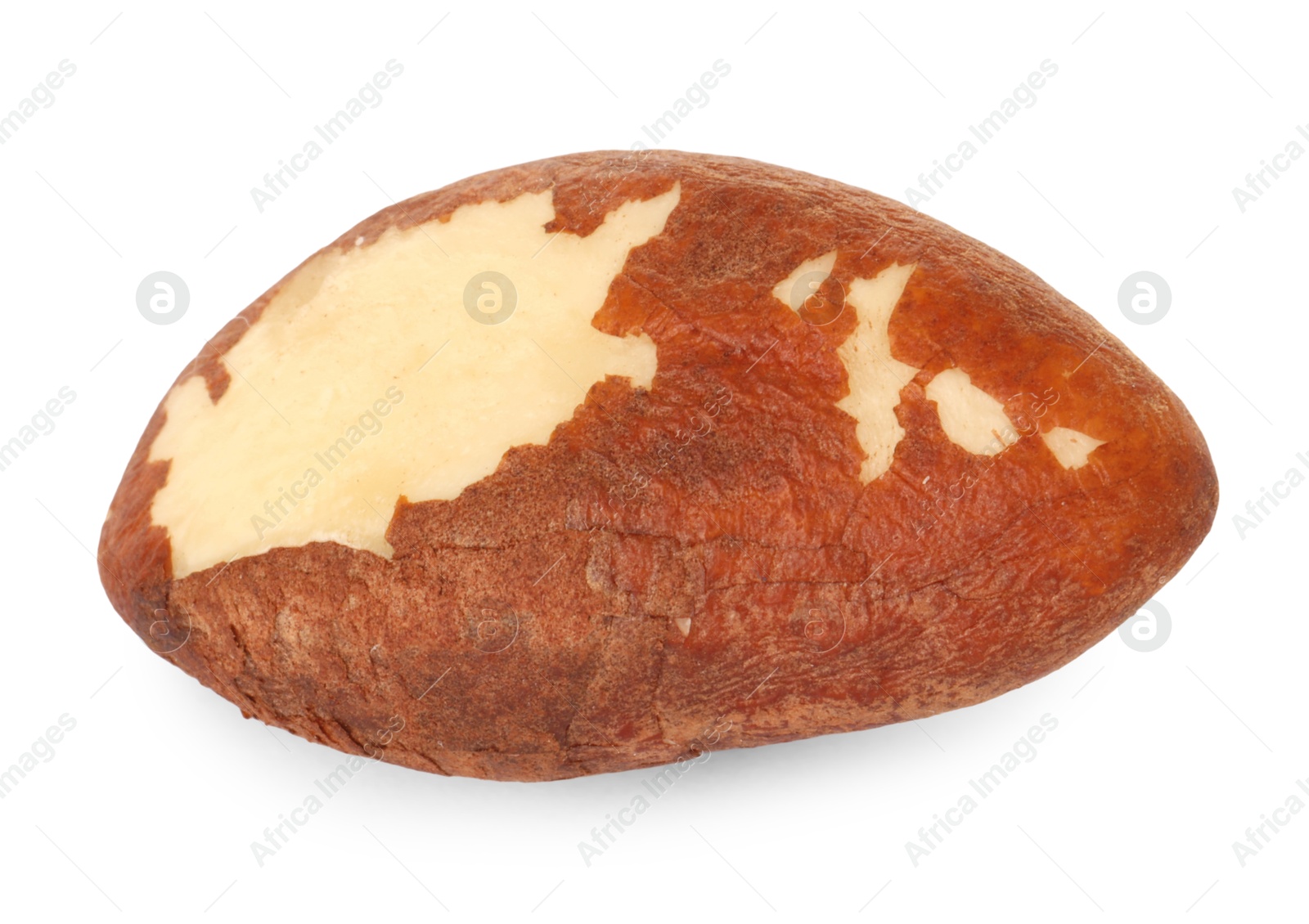 Photo of One tasty Brazil nut isolated on white