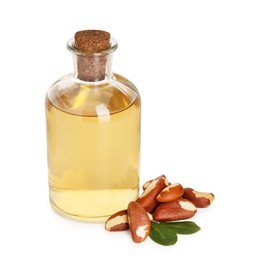 Photo of Tasty Brazil nuts and bottle with oil isolated on white