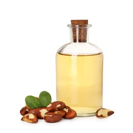 Photo of Tasty Brazil nuts and bottle with oil isolated on white