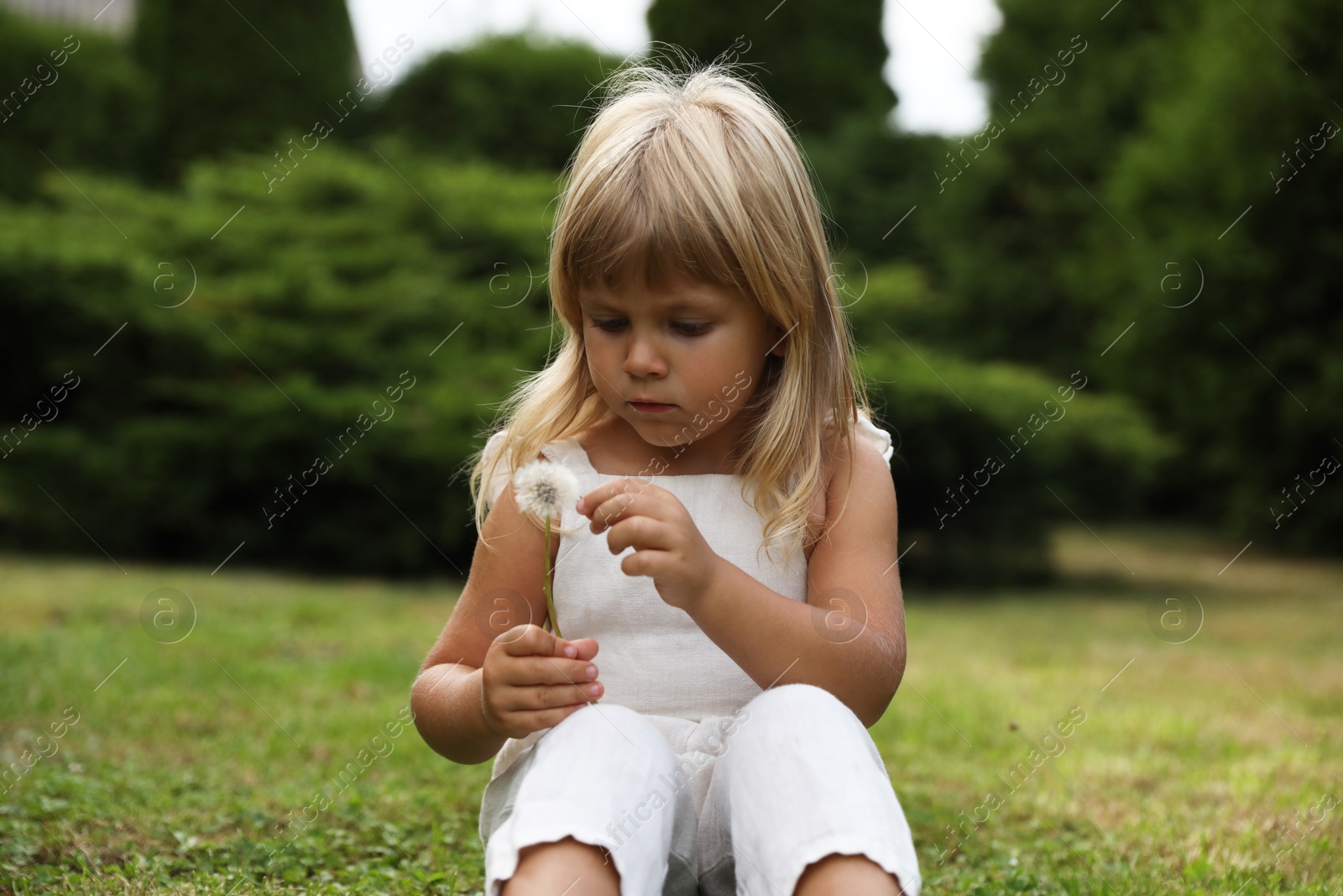 Photo of Cute little girl with dandelion flower on green grass outdoors. Enjoying beautiful nature