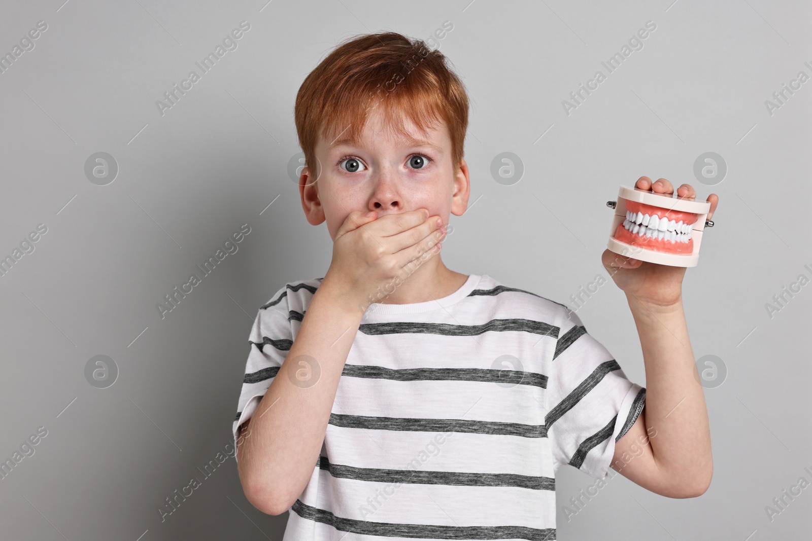 Photo of Dental phobia. Scared boy with model of jaw on grey background