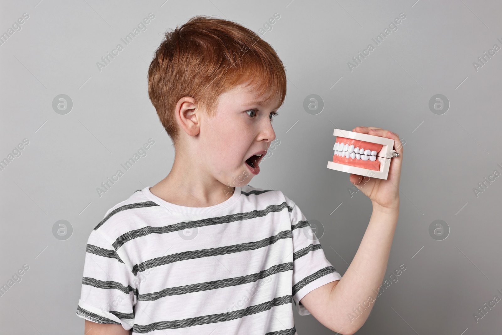 Photo of Dental phobia. Scared boy with model of jaw on grey background