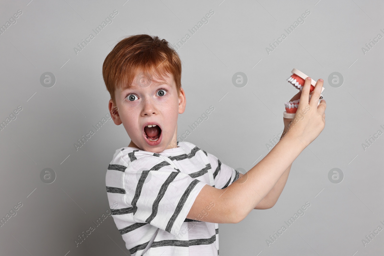 Photo of Dental phobia. Scared boy with model of jaw on grey background