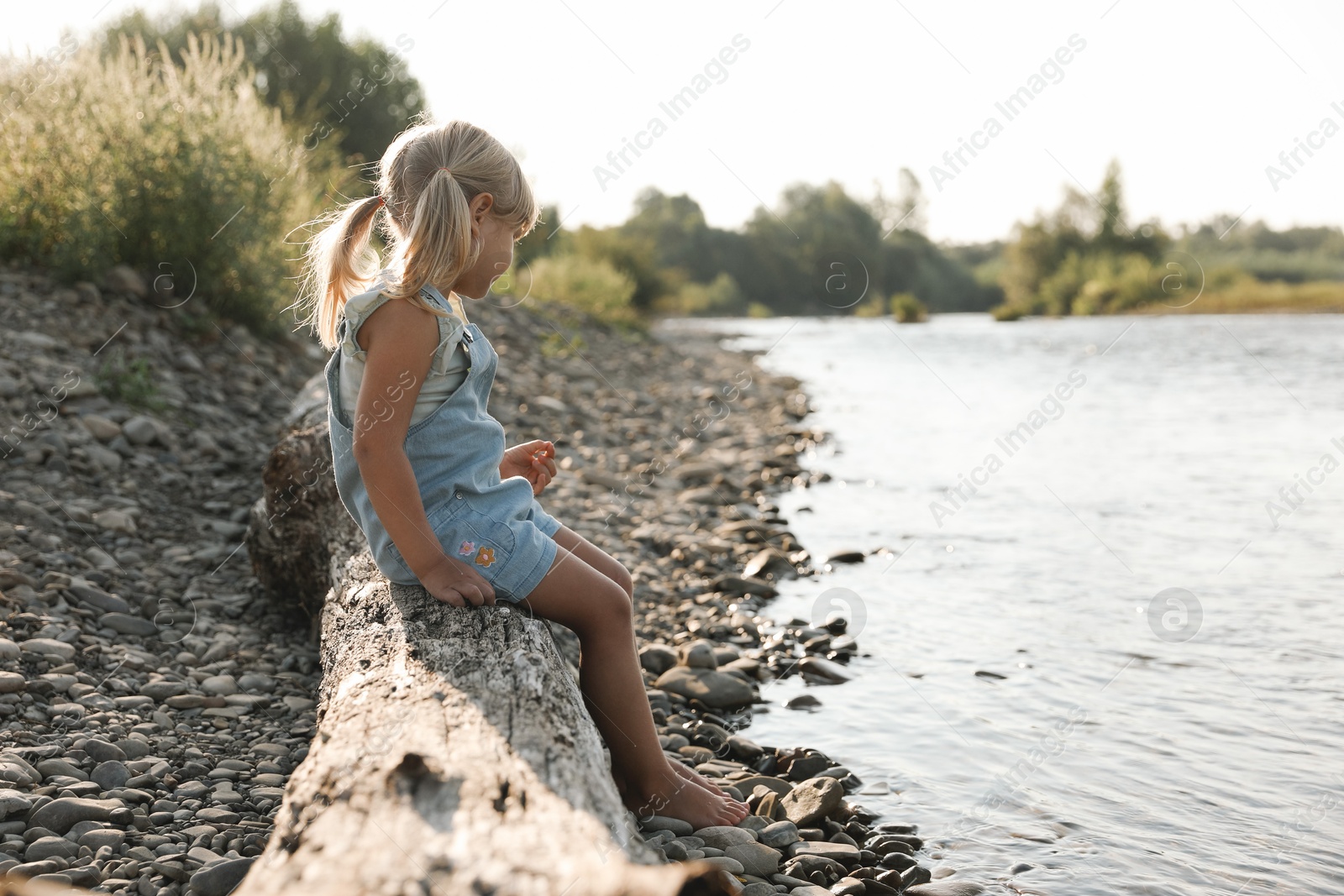 Photo of Cute little girl sitting on tree trunk near river. Child enjoying beautiful nature