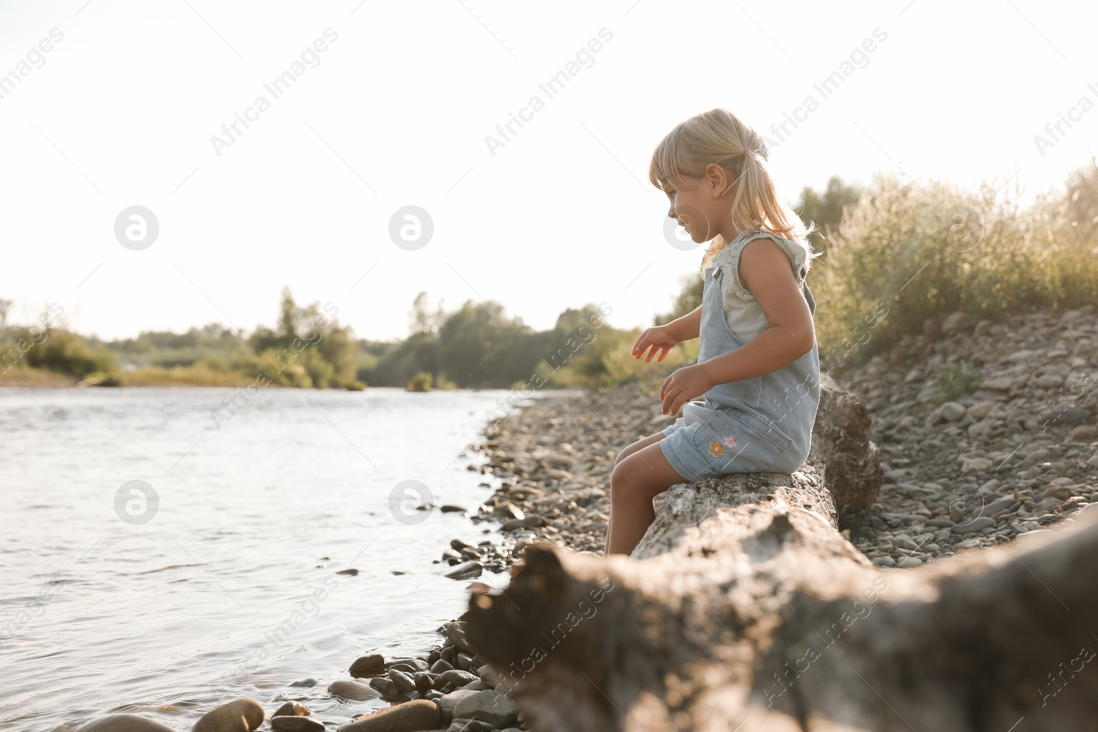 Photo of Cute little girl sitting on tree trunk near river. Child enjoying beautiful nature