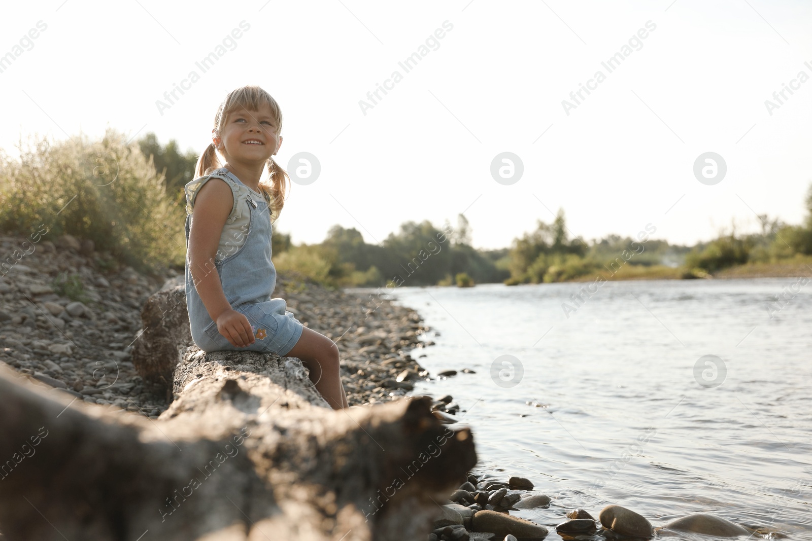 Photo of Cute little girl sitting on tree trunk near river. Child enjoying beautiful nature