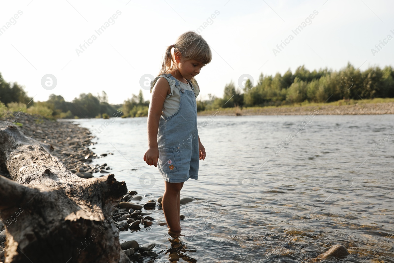 Photo of Cute little girl spending time on river. Child enjoying beautiful nature