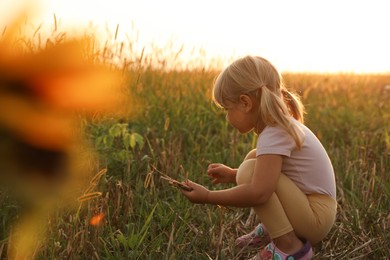 Photo of Cute little girl picking dry plants at meadow. Child enjoying beautiful nature