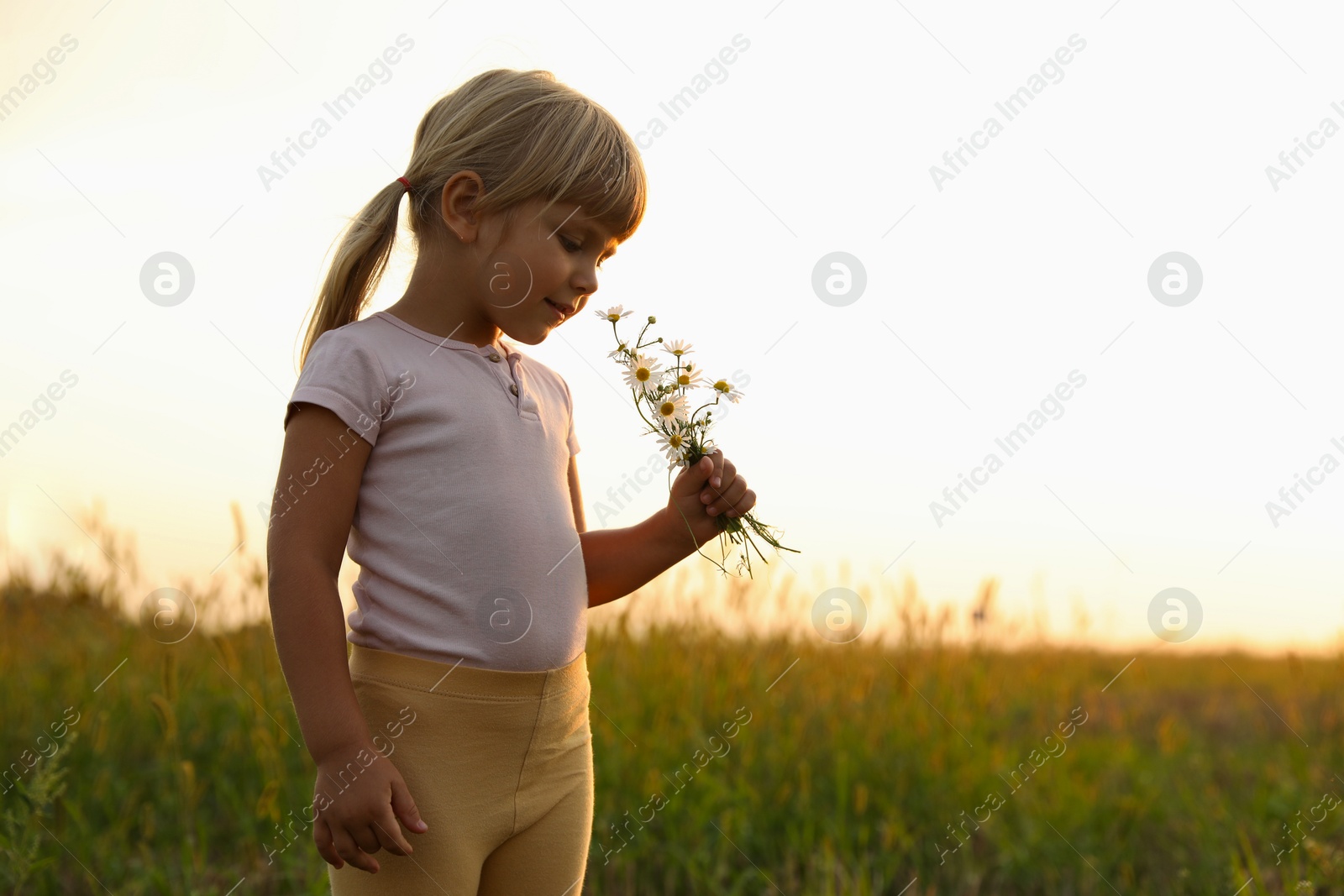 Photo of Cute little girl with chamomiles at meadow, space for text. Child enjoying beautiful nature