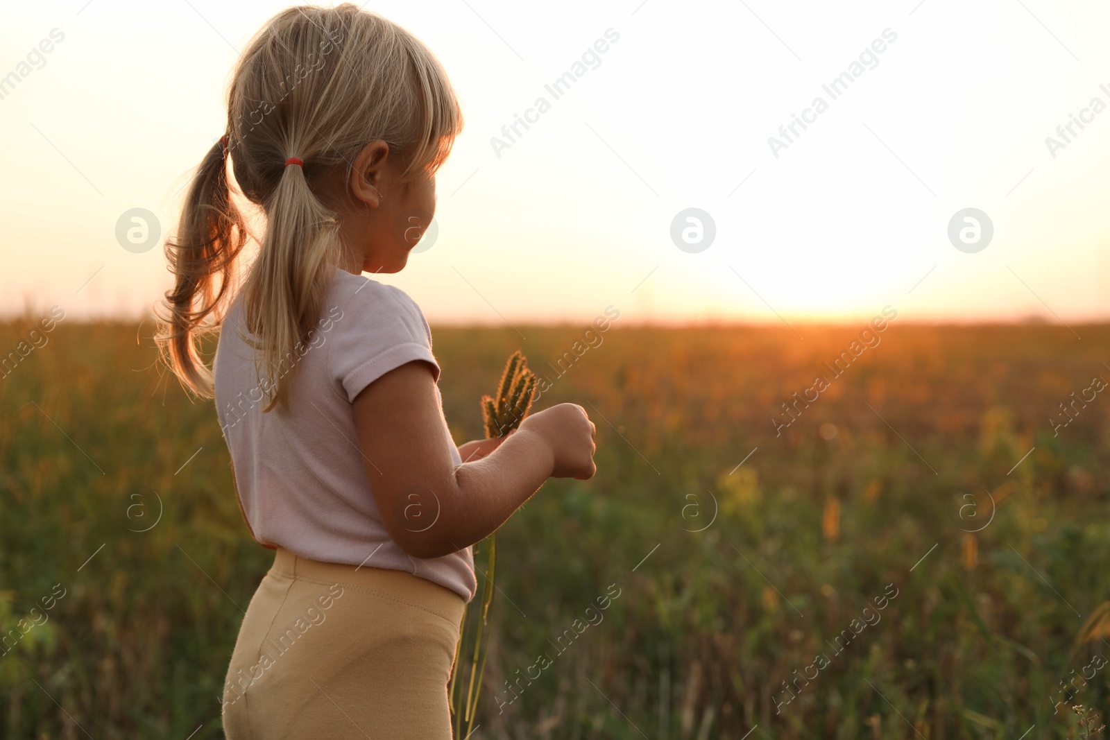 Photo of Cute little girl with plants at meadow, space for text. Child enjoying beautiful nature