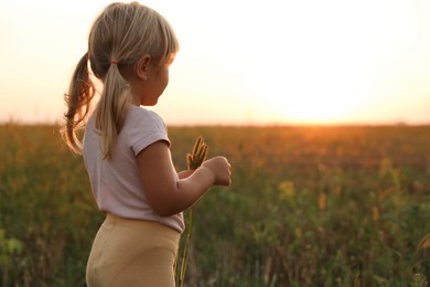 Cute little girl with plants at meadow, space for text. Child enjoying beautiful nature