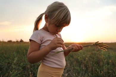 Cute little girl with plants at meadow. Child enjoying beautiful nature