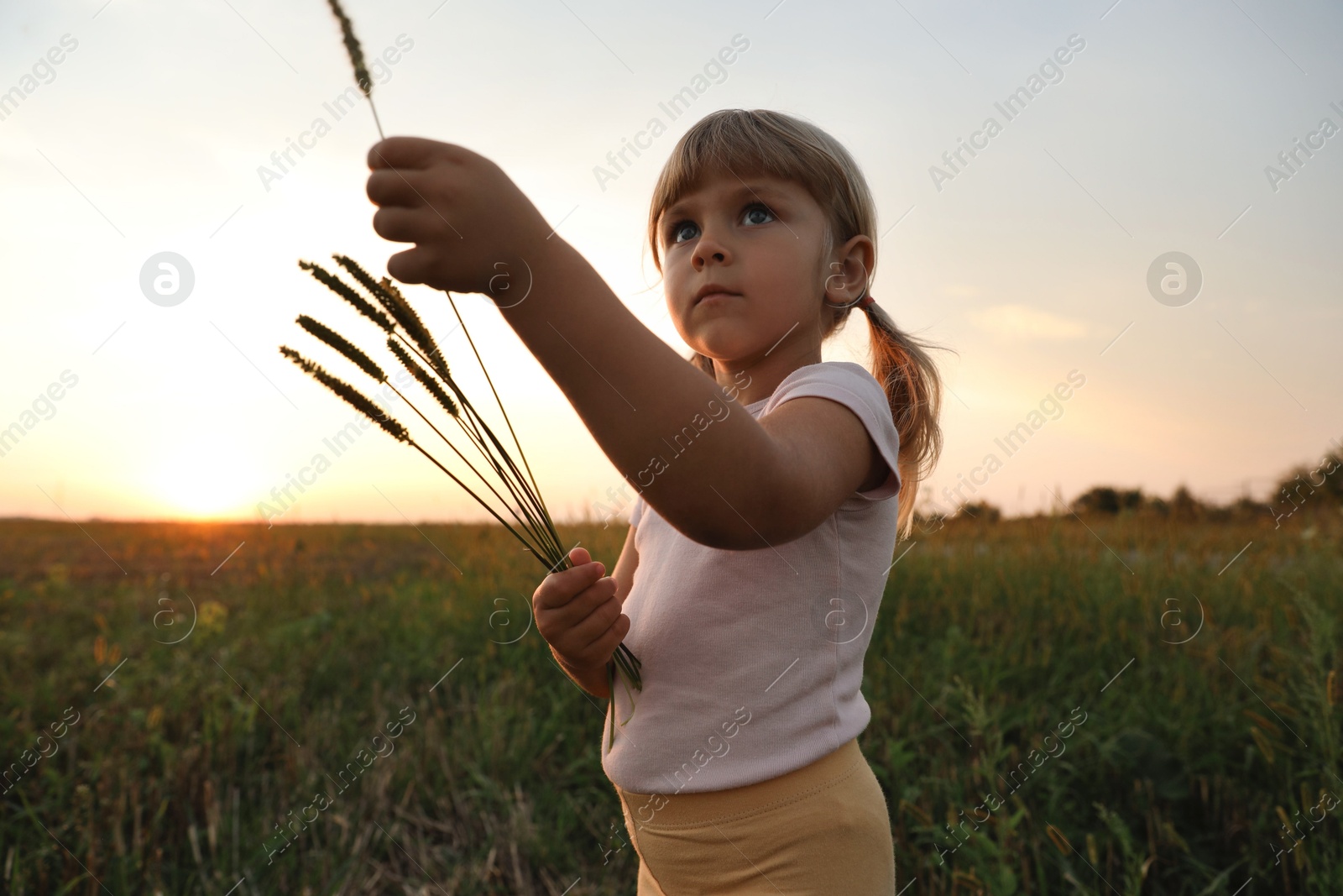 Photo of Cute little girl with plants at meadow. Child enjoying beautiful nature