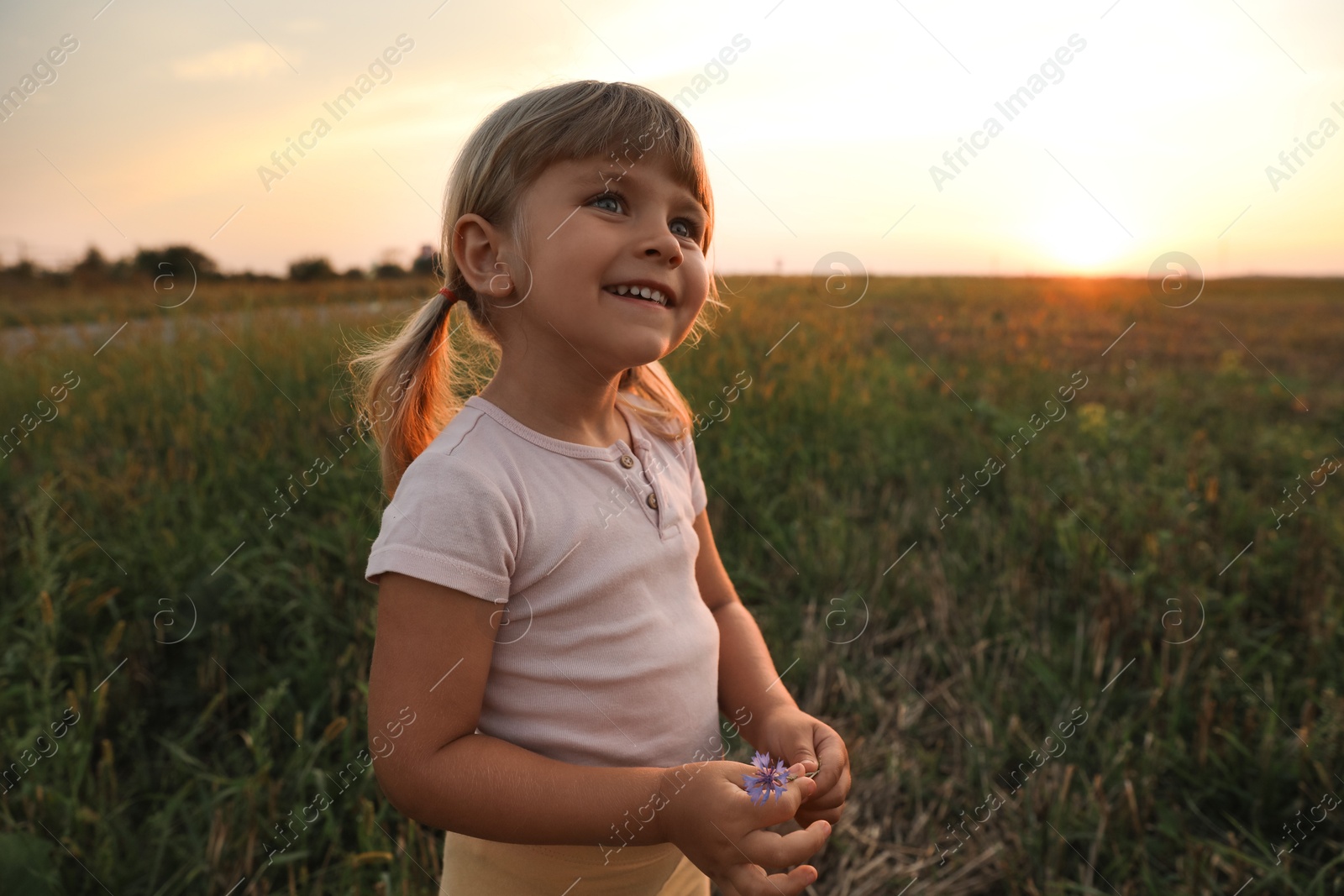 Photo of Cute little girl with flower outdoors at sunset. Child enjoying beautiful nature