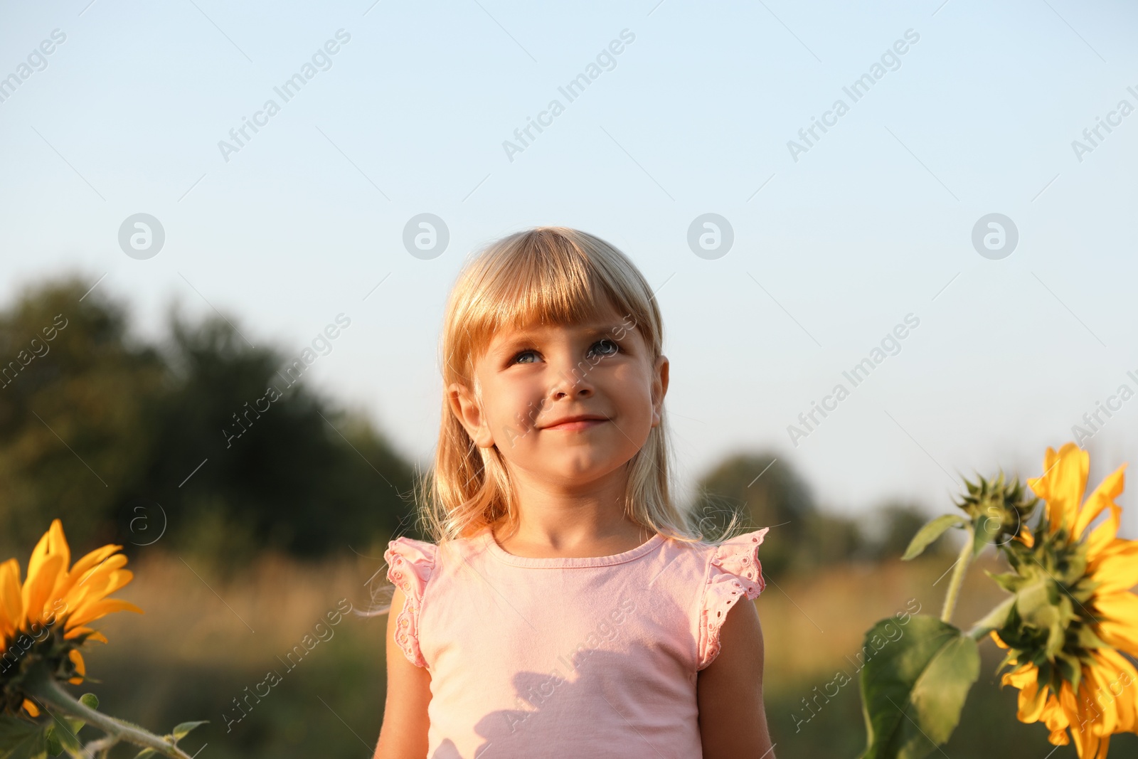 Photo of Little girl near sunflowers at meadow. Child enjoying beautiful nature