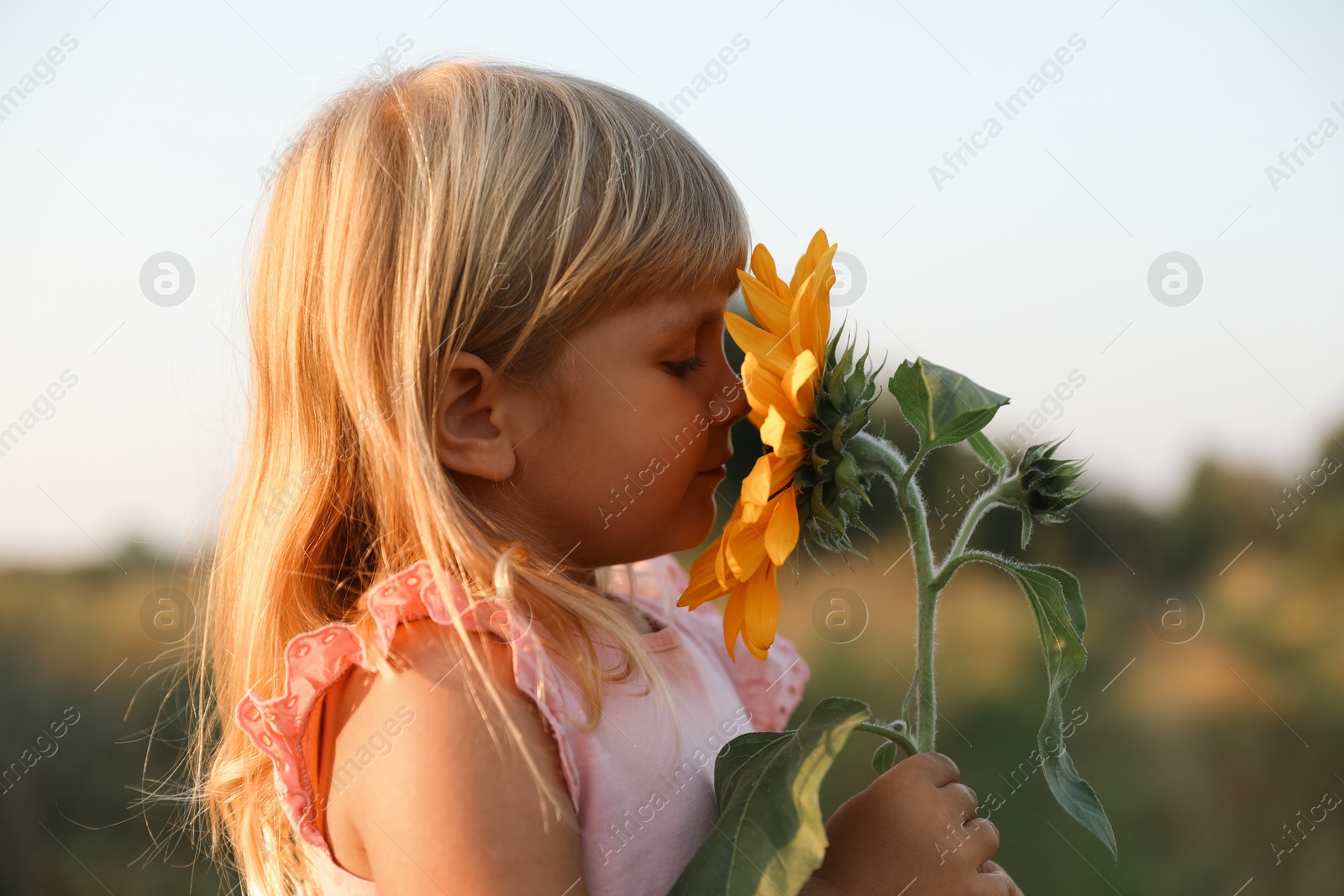 Photo of Little girl with sunflower at meadow. Child enjoying beautiful nature