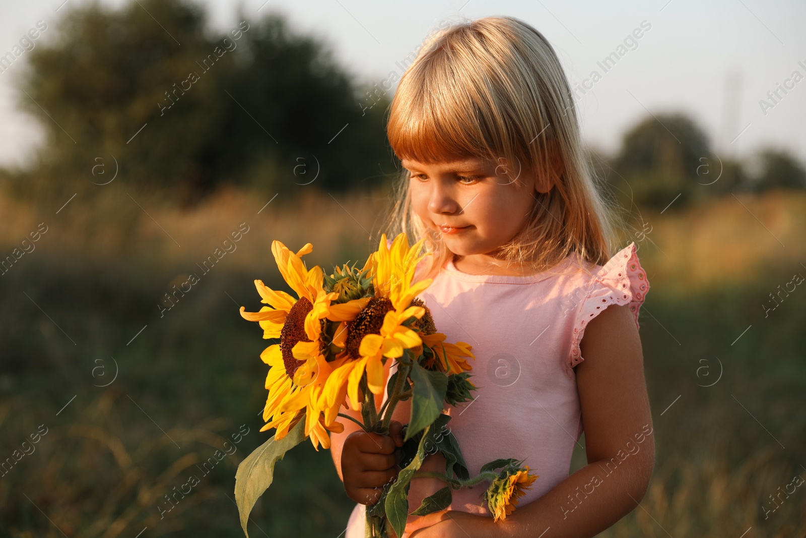 Photo of Little girl with sunflowers at meadow. Child enjoying beautiful nature