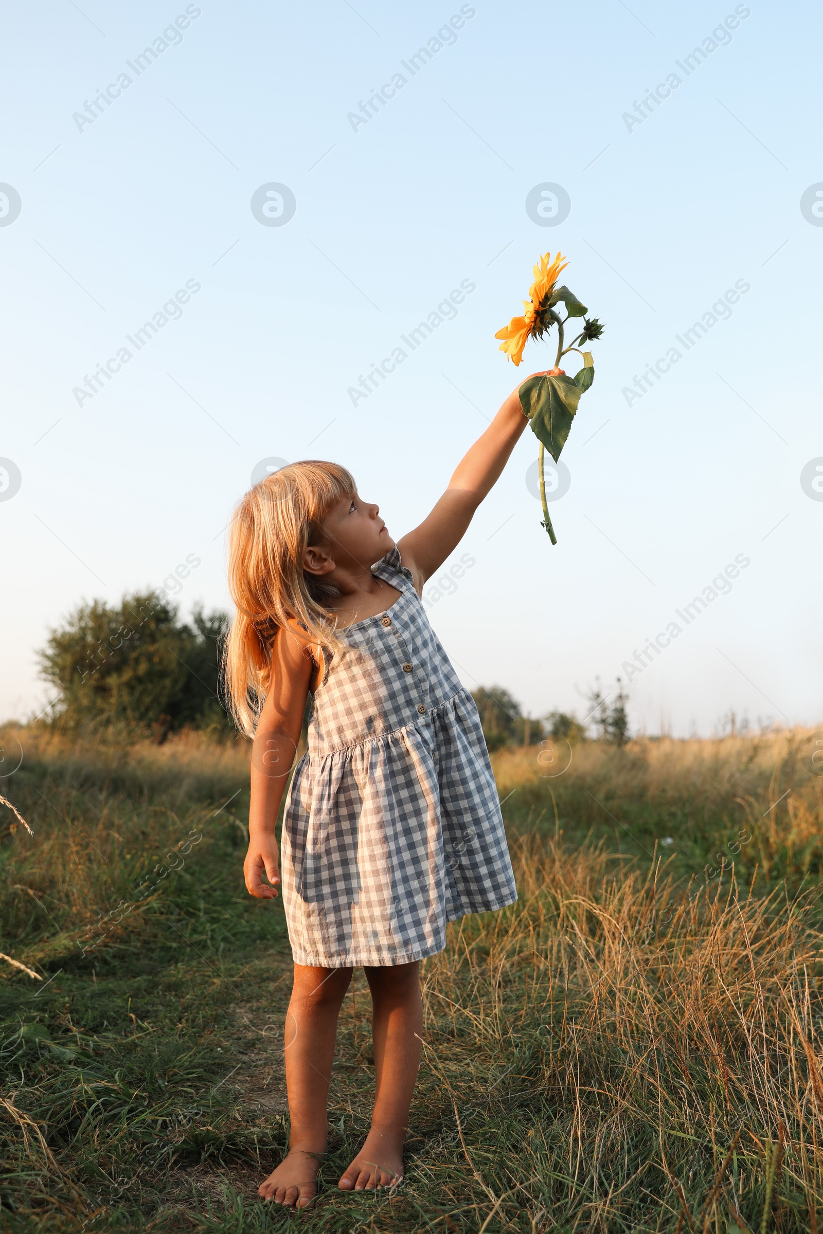 Photo of Little girl with sunflower at meadow. Child enjoying beautiful nature