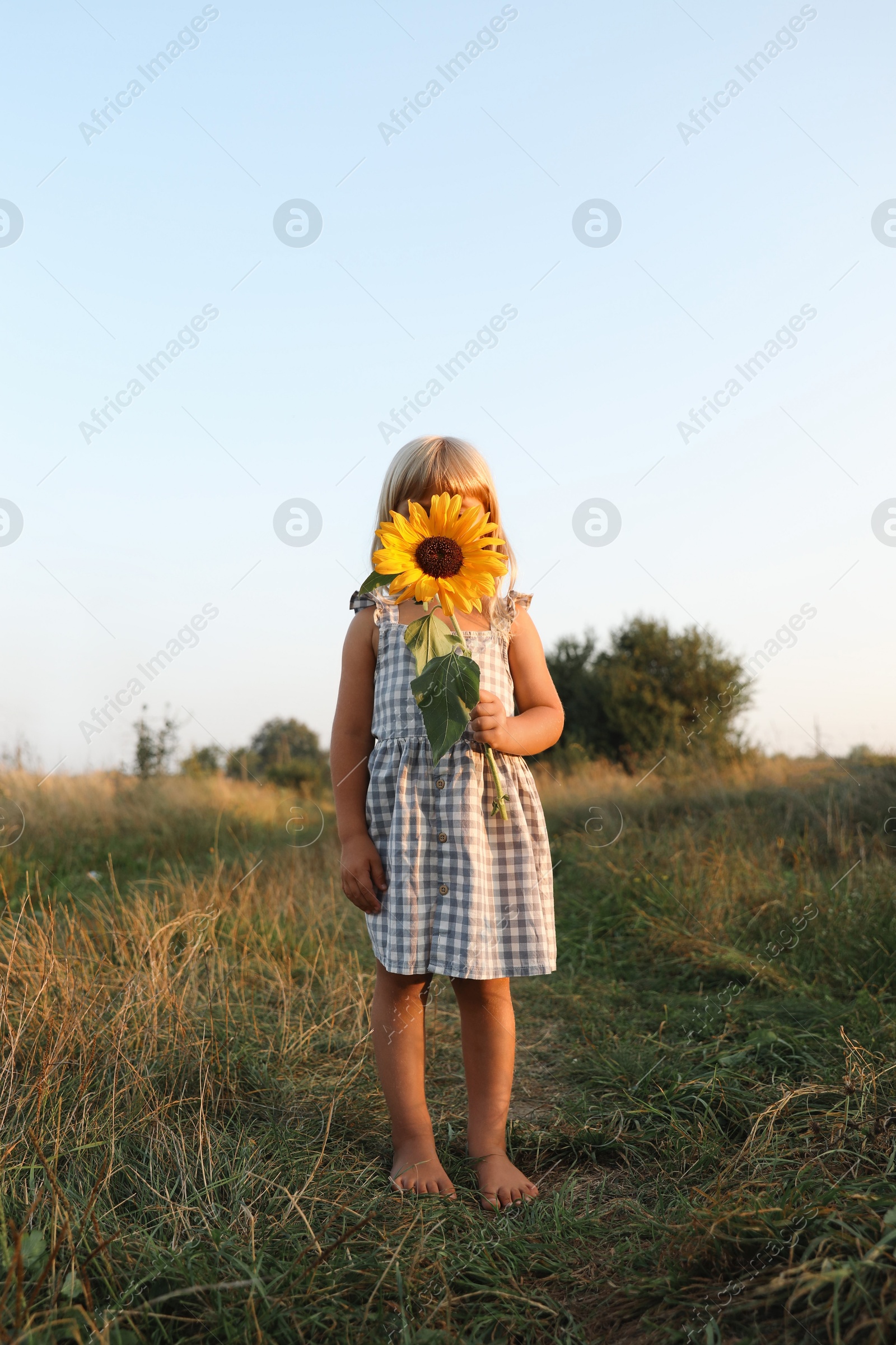 Photo of Little girl with sunflower at meadow. Child enjoying beautiful nature