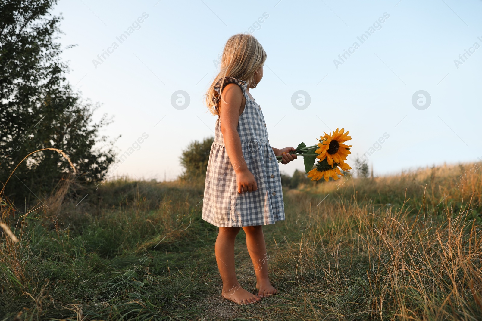 Photo of Little girl with sunflowers at meadow. Child enjoying beautiful nature