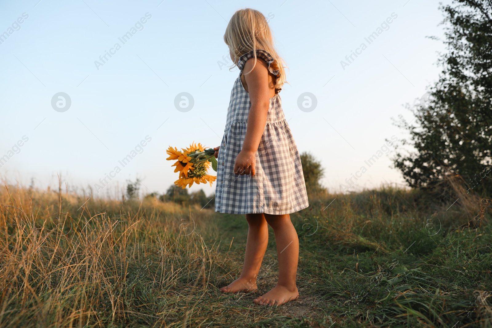 Photo of Little girl with sunflowers at meadow. Child enjoying beautiful nature