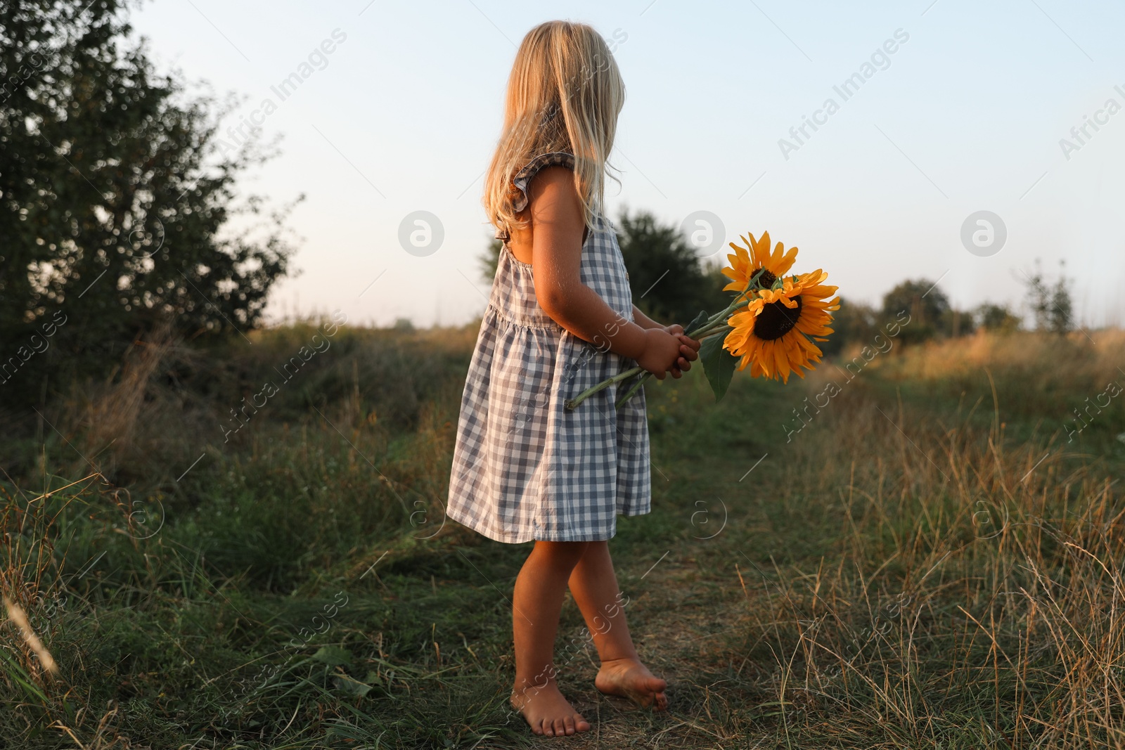 Photo of Little girl with sunflowers at meadow. Child enjoying beautiful nature