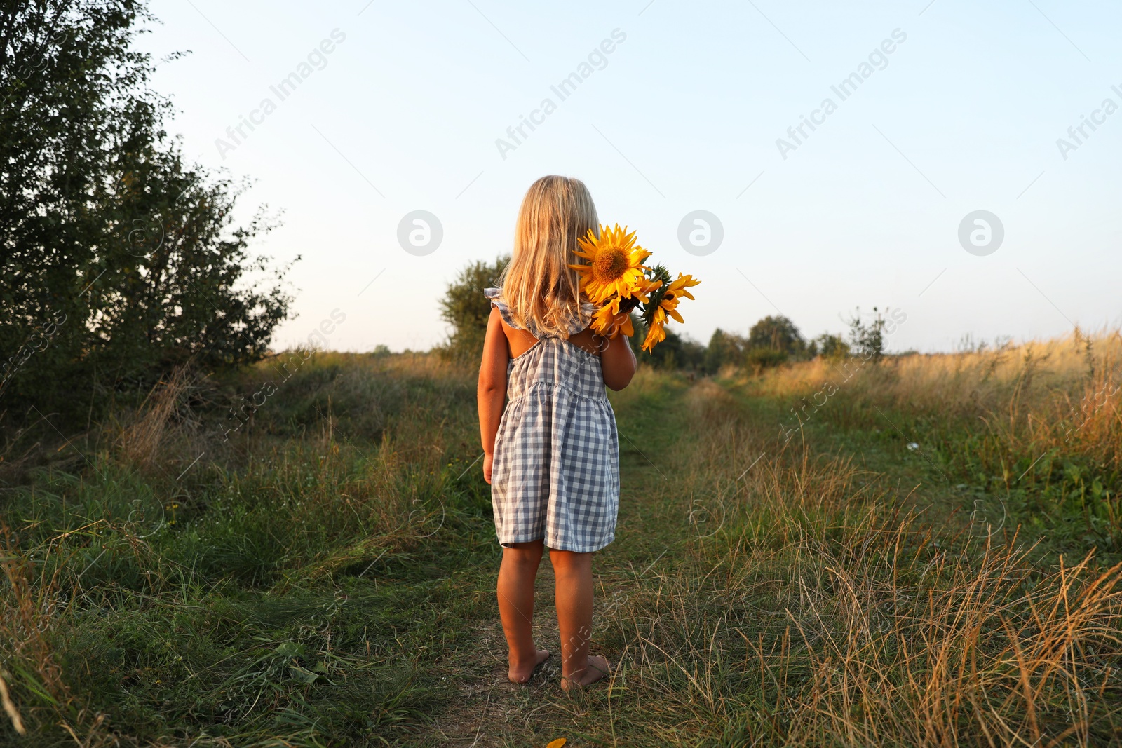 Photo of Little girl with sunflowers at meadow, back view. Child enjoying beautiful nature