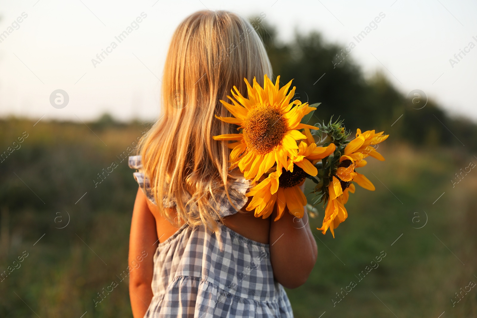 Photo of Little girl with sunflowers at meadow, back view. Child enjoying beautiful nature