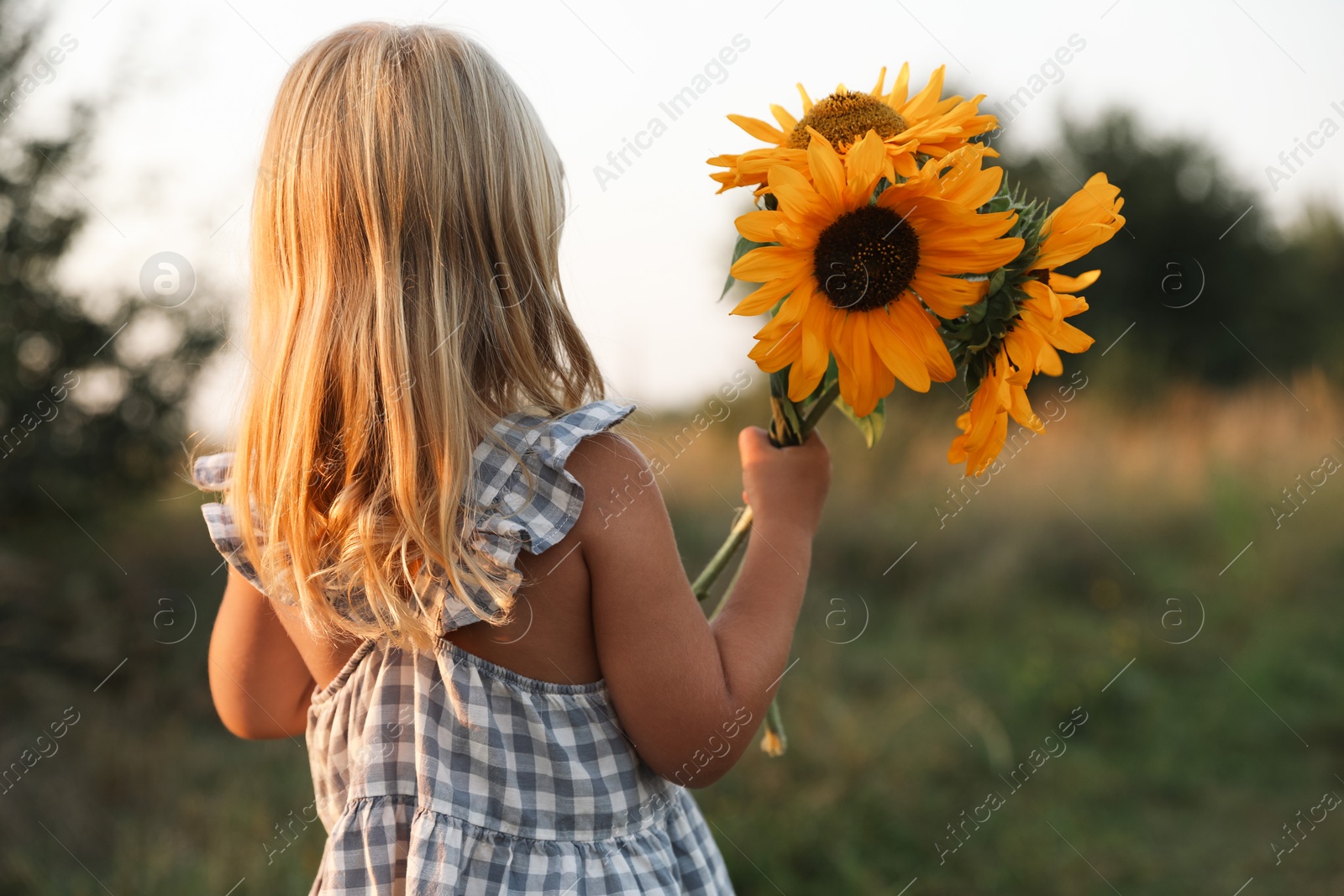 Photo of Little girl with sunflowers at meadow, back view. Child enjoying beautiful nature