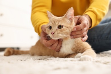 Photo of Man petting cute ginger cat on floor at home, closeup