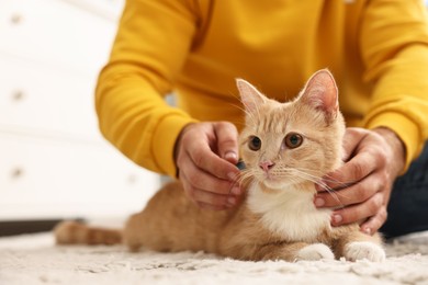 Photo of Man petting cute ginger cat on floor at home, closeup