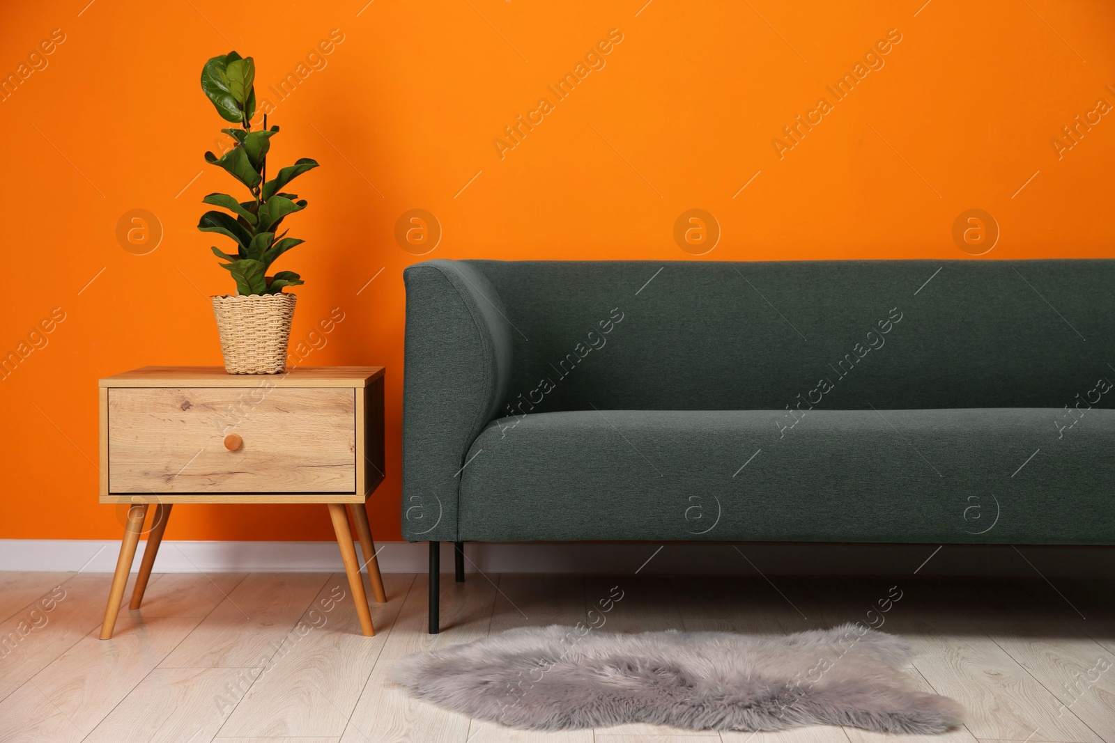 Photo of Stylish sofa and side table with green houseplant near orange wall indoors