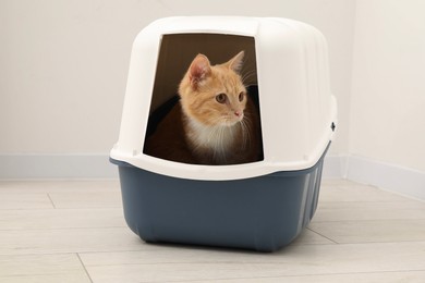 Photo of Cute ginger cat in litter box on floor indoors