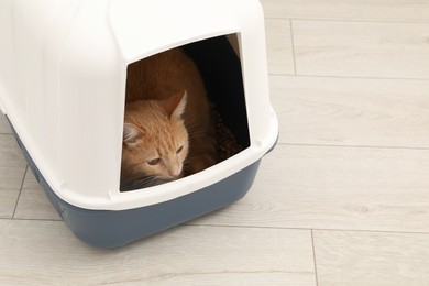 Photo of Cute ginger cat in litter box on floor indoors, space for text