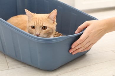 Photo of Woman near litter tray with cute ginger cat on floor indoors, closeup