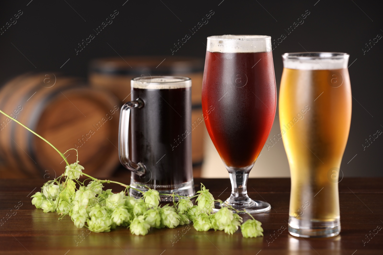 Photo of Glasses with different types of beer and fresh hops on wooden table in bar