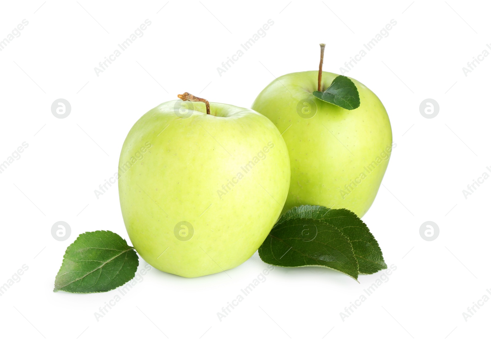 Photo of Fresh green apples and leaves isolated on white