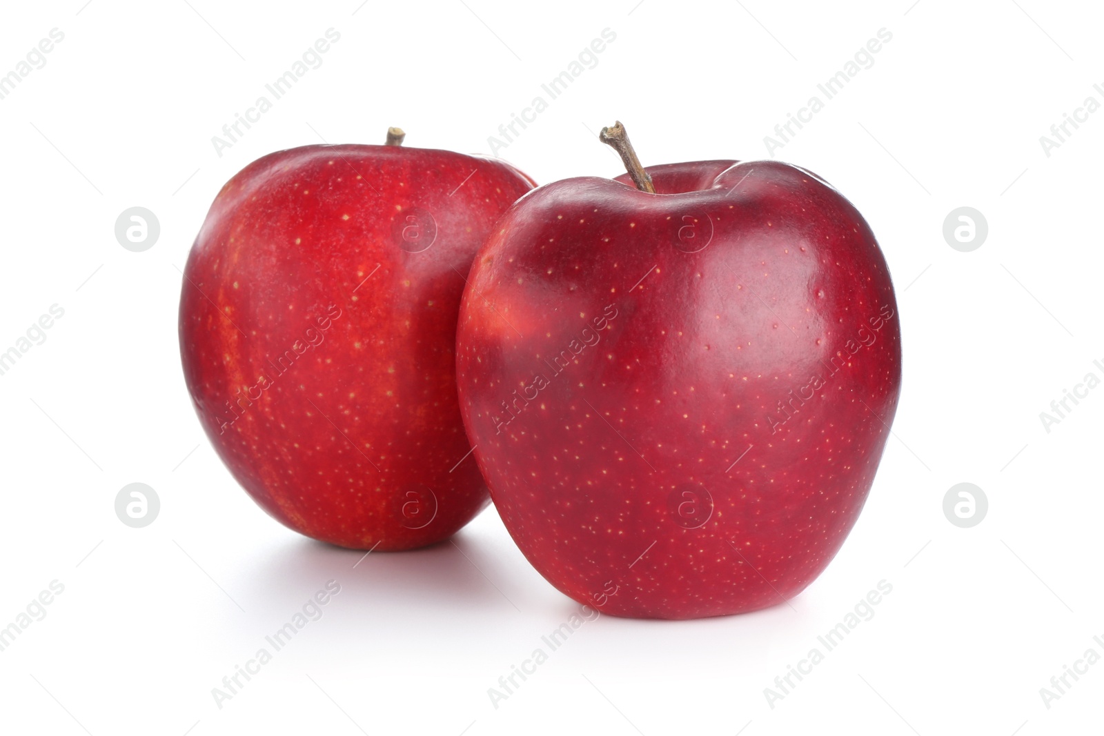 Photo of Two fresh red apples isolated on white