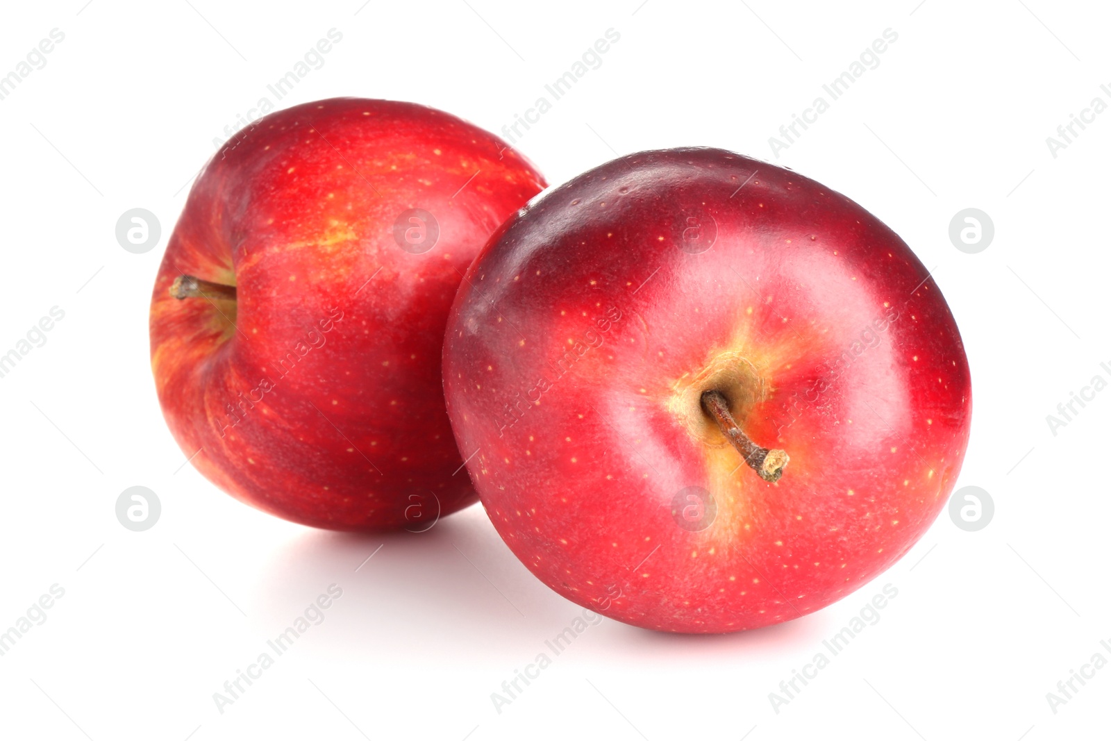 Photo of Two fresh red apples isolated on white