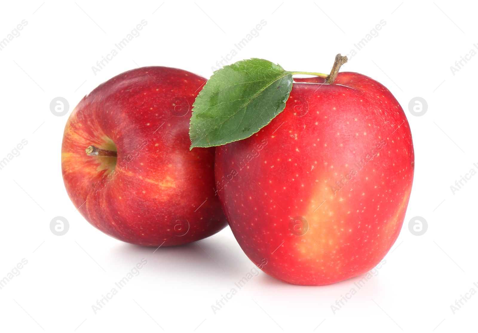 Photo of Two fresh red apples isolated on white