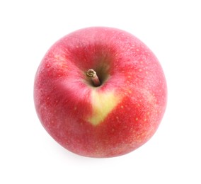 Photo of One ripe red apple isolated on white, above view