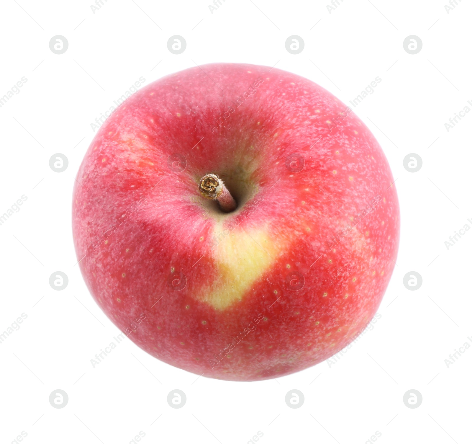 Photo of One ripe red apple isolated on white, above view