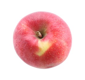 Photo of One ripe red apple isolated on white, above view