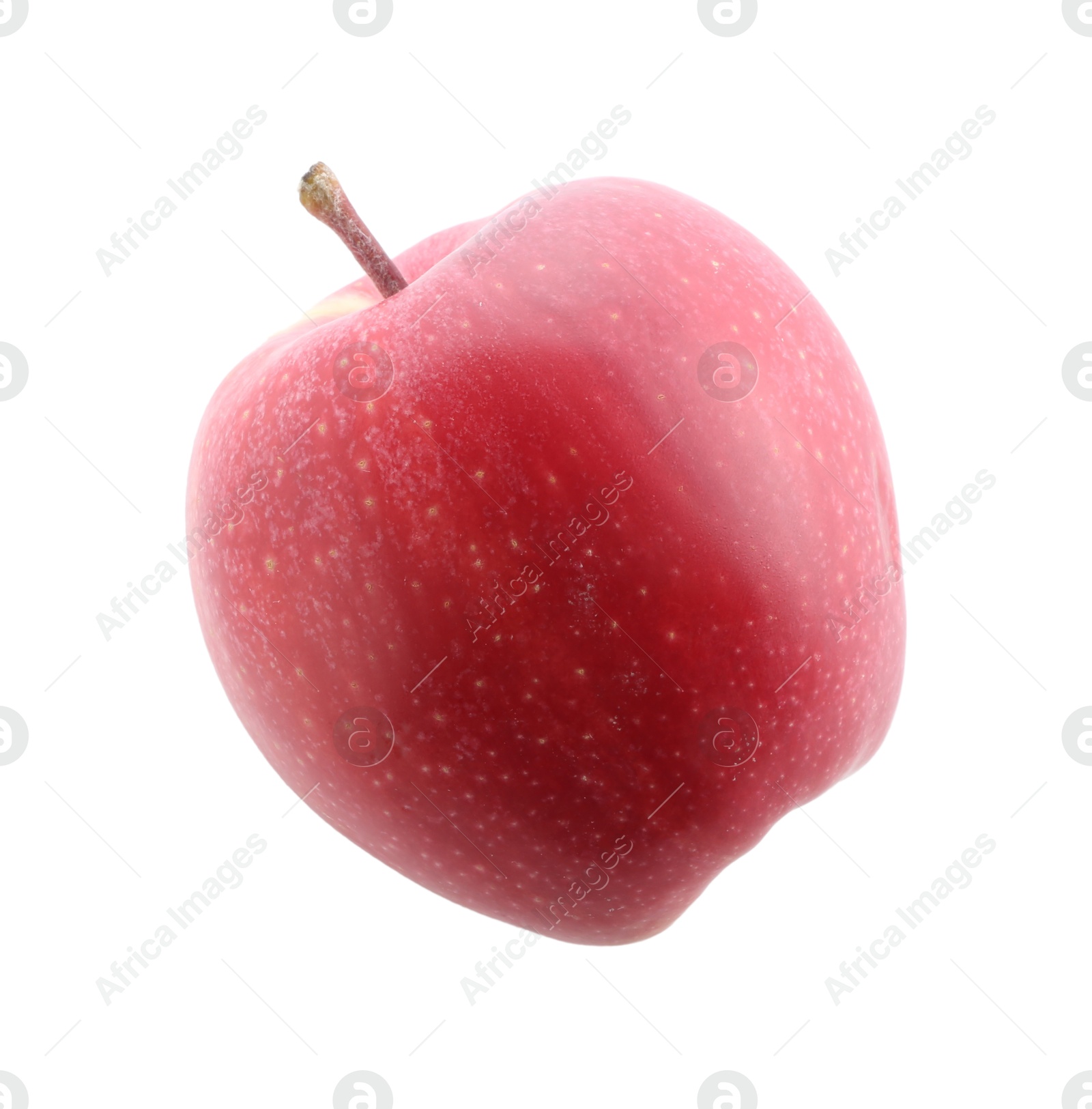 Photo of One ripe red apple isolated on white, top view