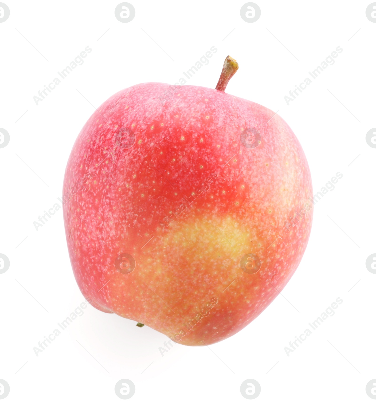 Photo of One ripe red apple isolated on white, top view