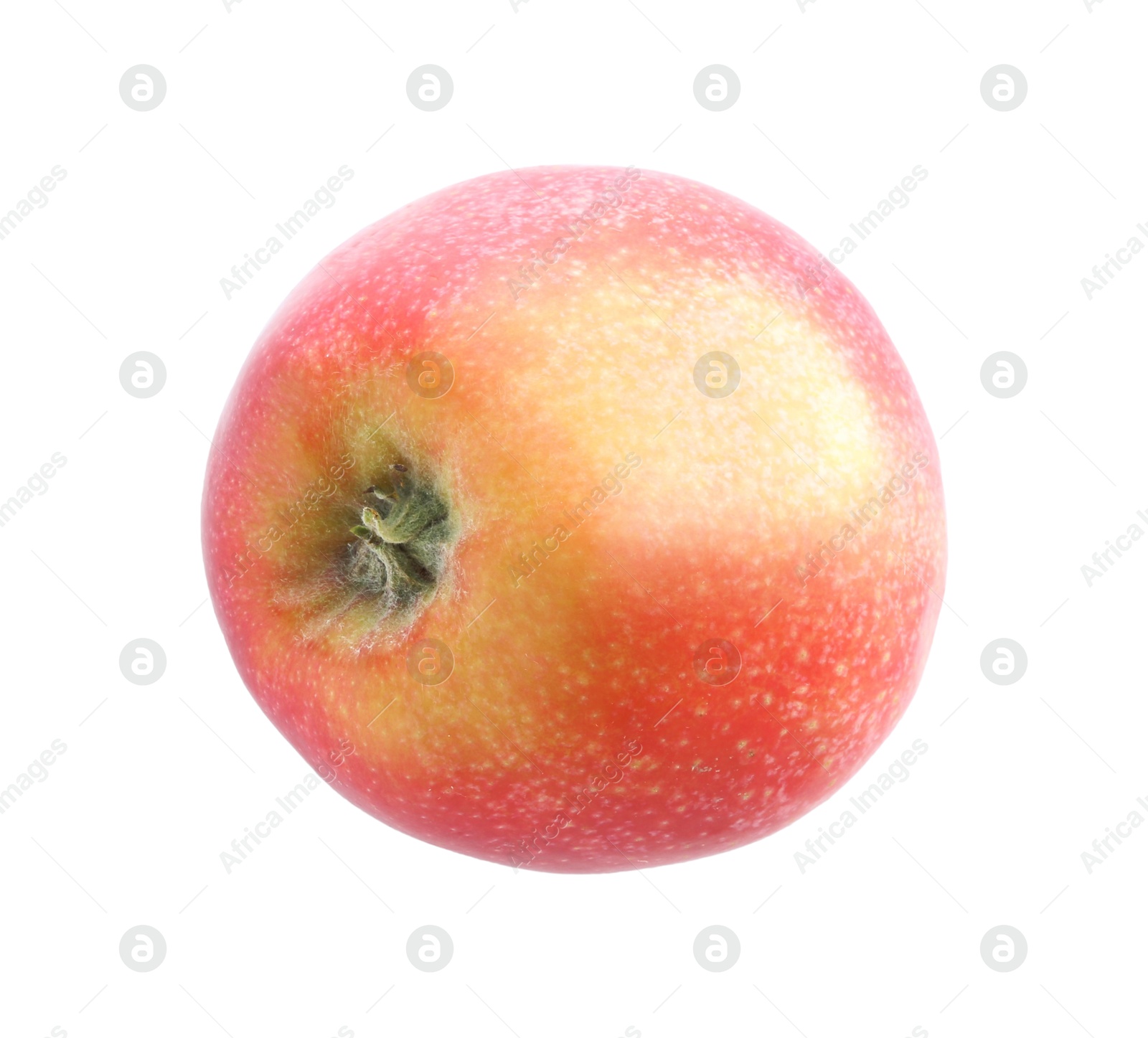 Photo of One ripe red apple isolated on white, top view