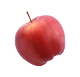 Photo of One ripe red apple isolated on white, top view